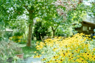Unser zimmer Nr. 1 a6428bdd-1f8d-468f-8f3d-b38fd8c222ef_202411394014179-herbertsxstubnxxcxxregionxgrazxxxmiasxphotoartx18